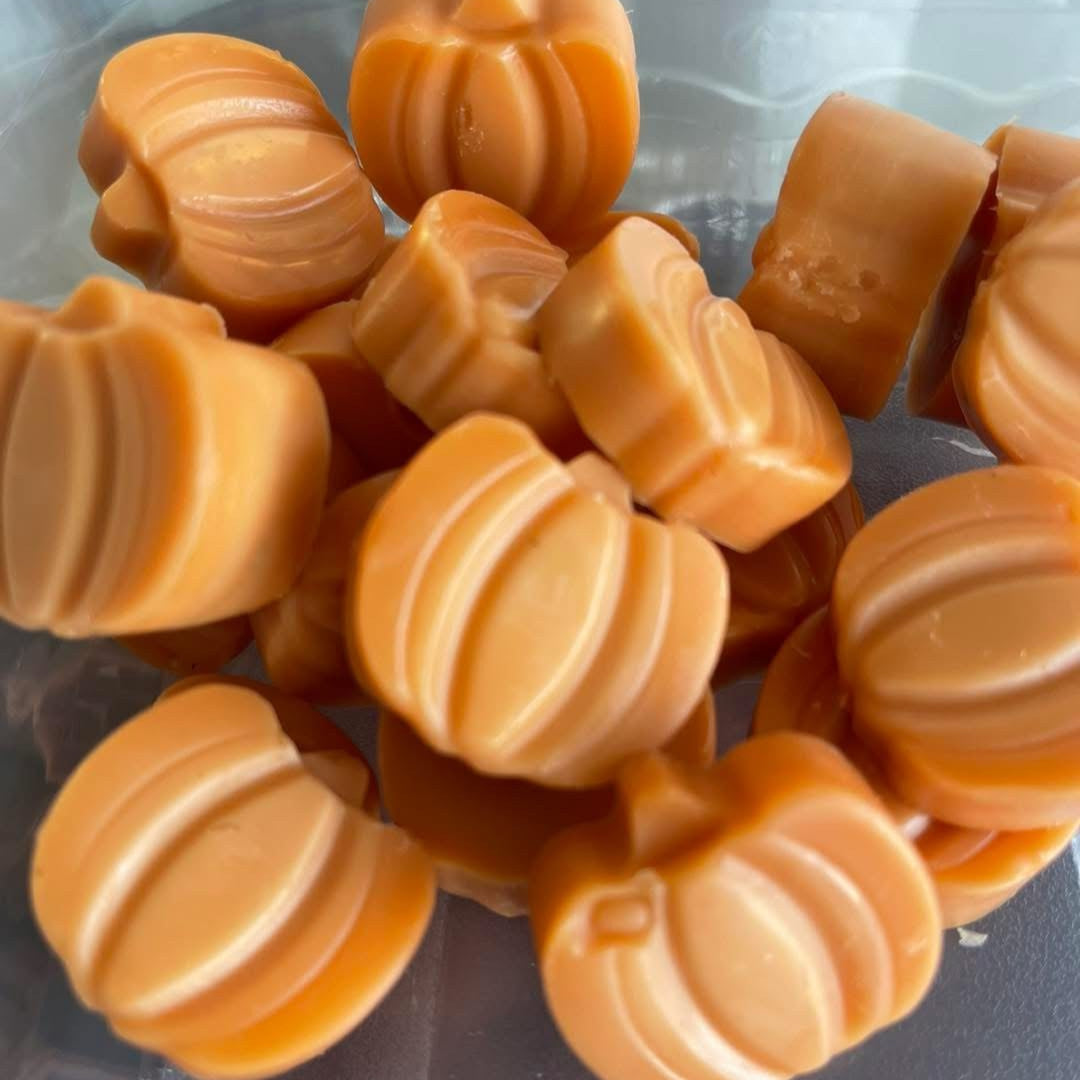 Wax Melts-Fall/Winter Seasonal